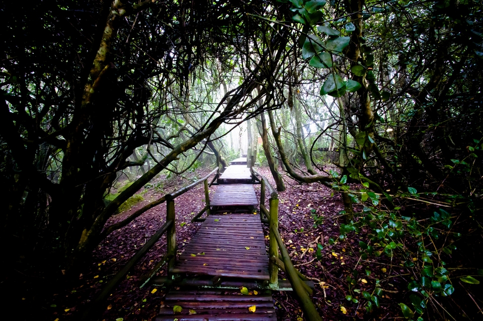Parque Nacional Bosque De Fray Jorge