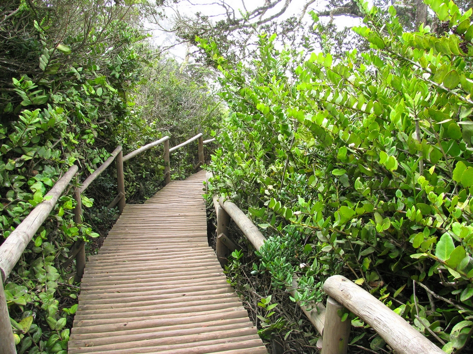 Parque Nacional Bosque De Fray Jorge
