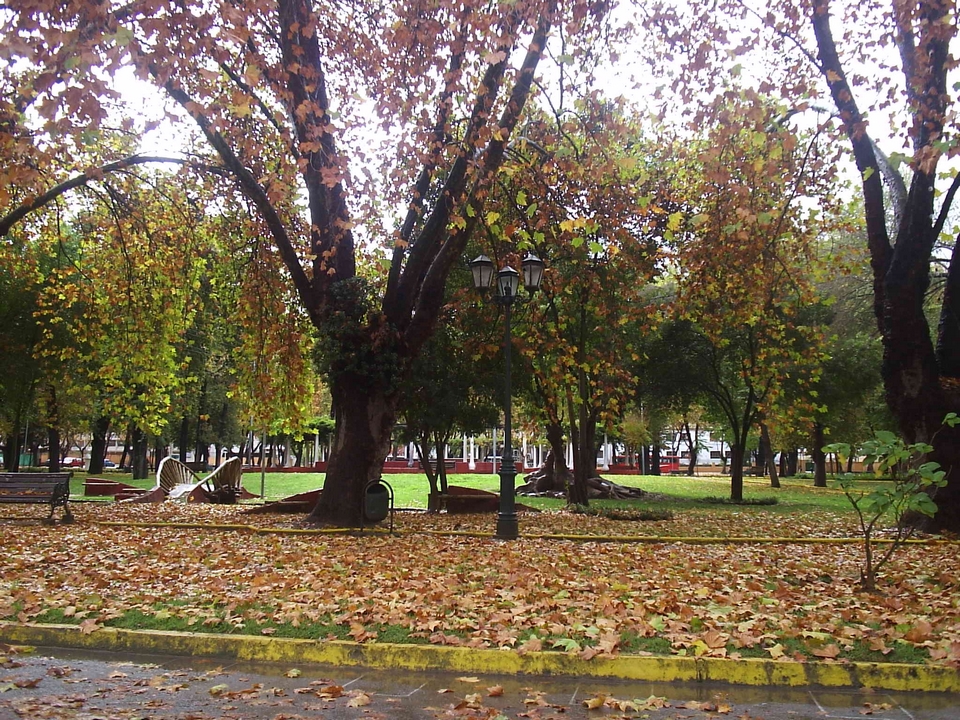 Limache