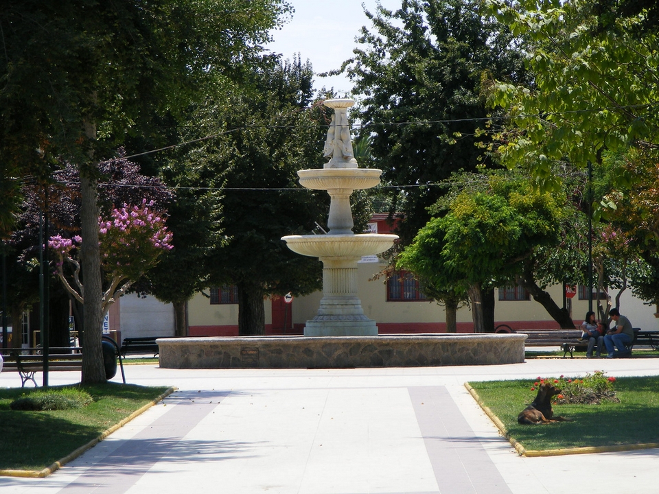 Limache