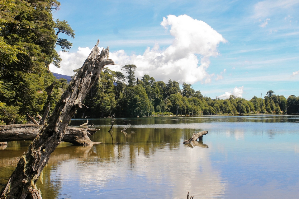 Parque Nacional Conguillio