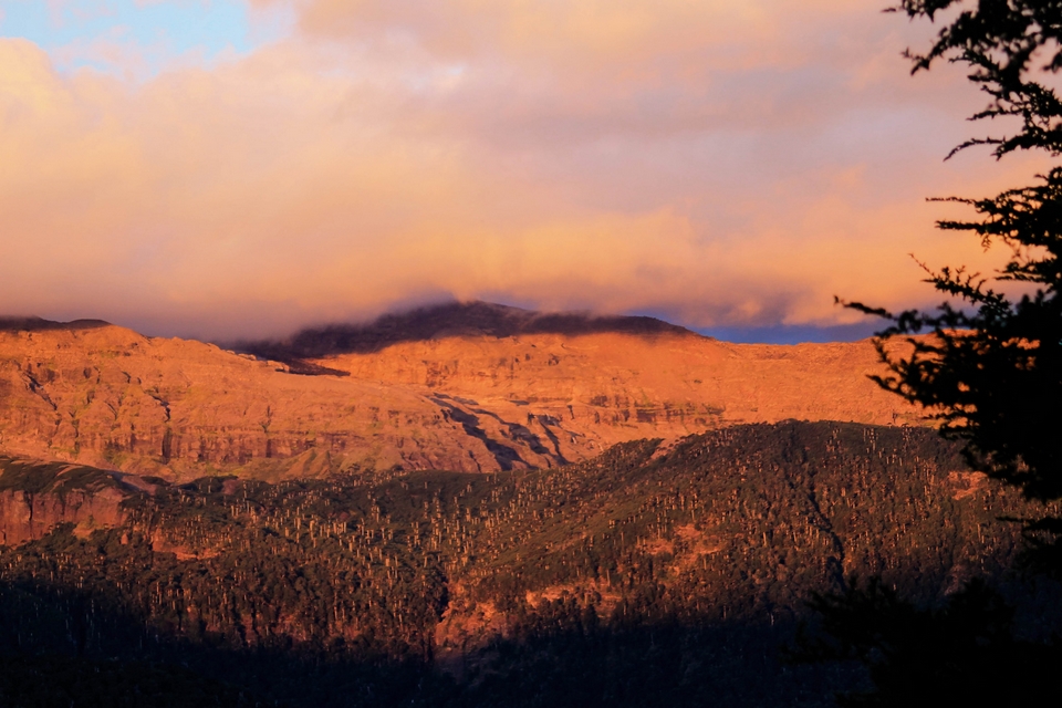 Parque Nacional Conguillio