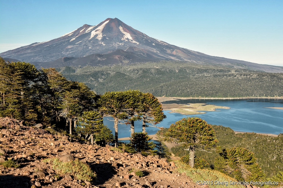 Parque Nacional Conguillio