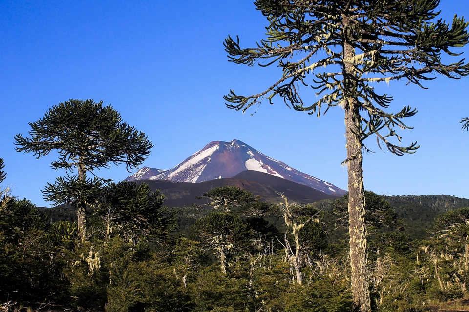 Parque Nacional Conguillio