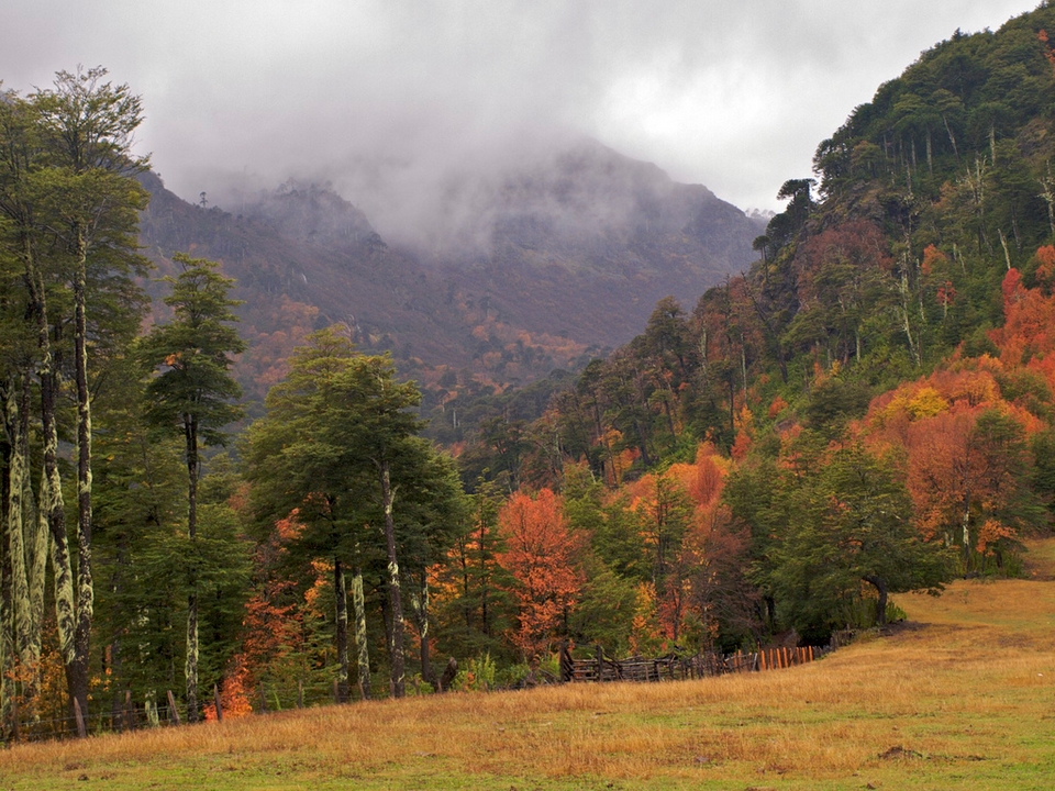 Parque Nacional Tolhuaca
