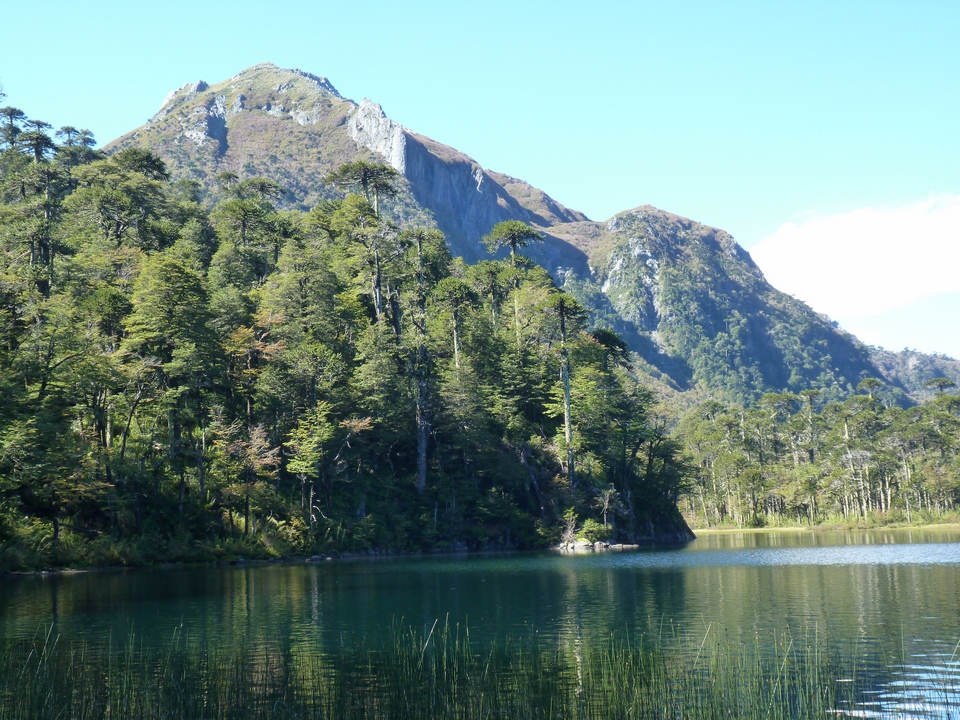 Parque Nacional Huerquehue