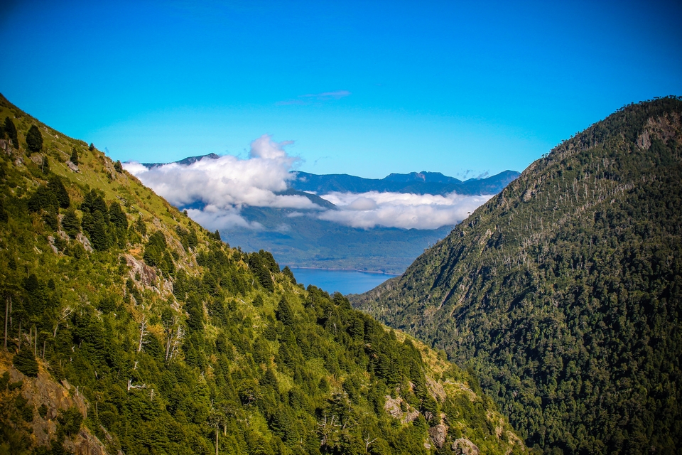 Parque Nacional Huerquehue