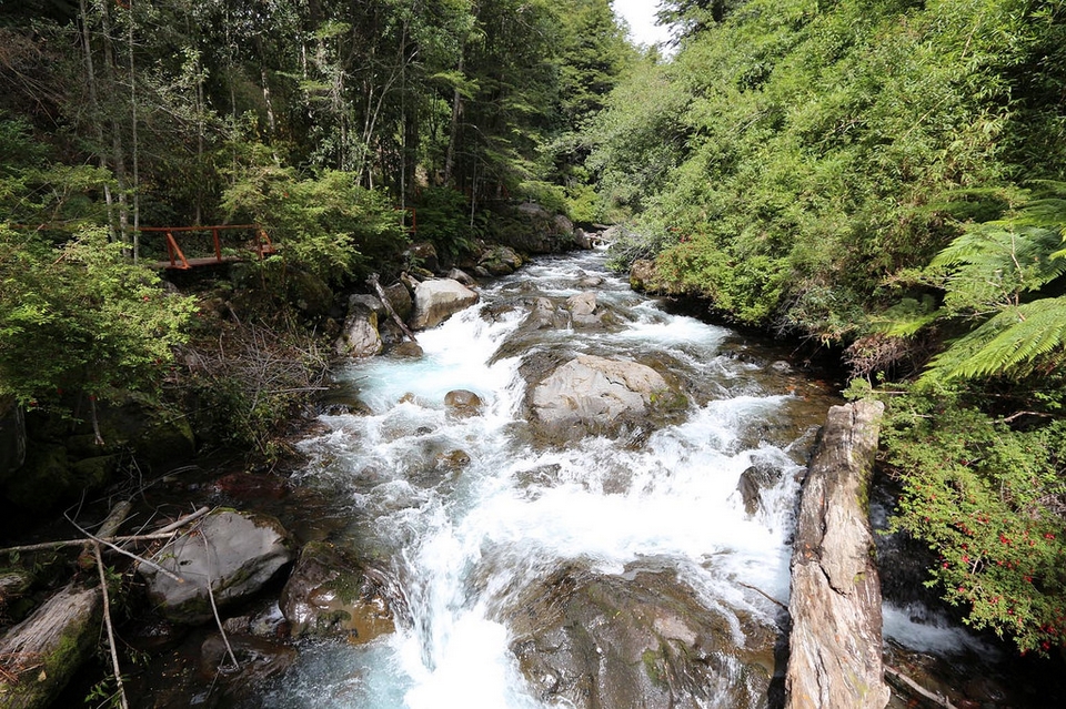 Parque Nacional Puyehue