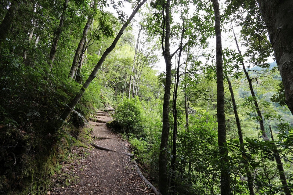 Parque Nacional Puyehue