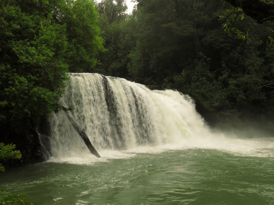 Parque Nacional Puyehue