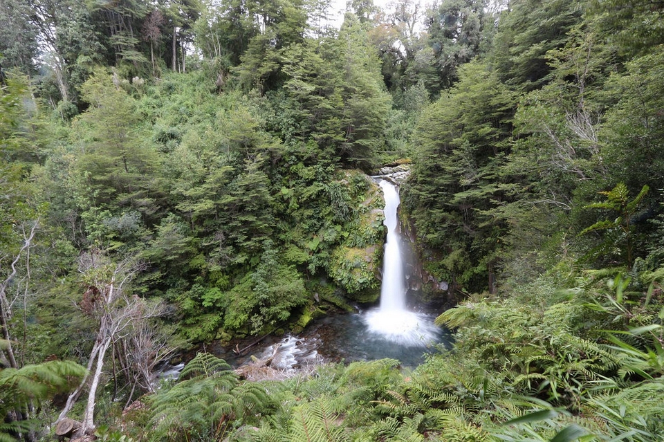 Parque Nacional Puyehue
