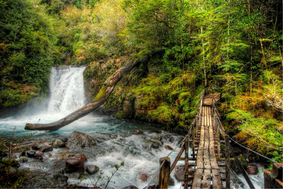 Parque Nacional Puyehue