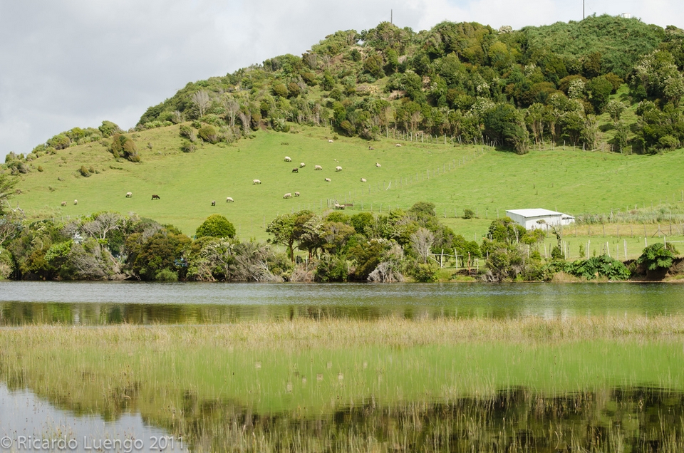 Parque Nacional Chiloe