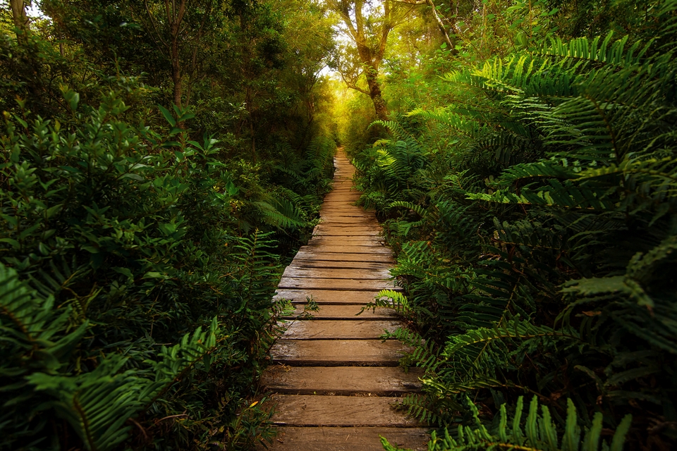 Parque Nacional Chiloe
