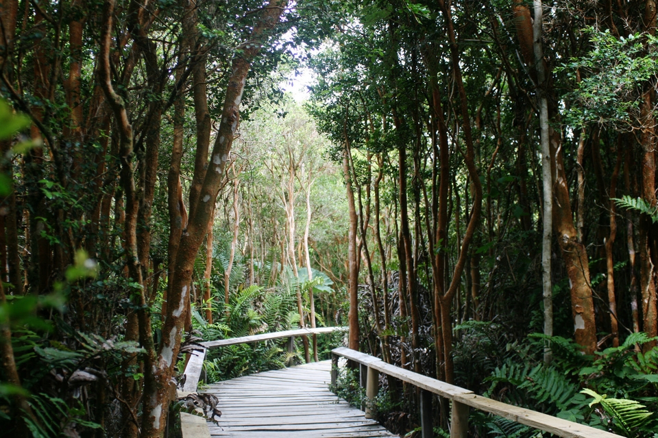 Parque Nacional Chiloe
