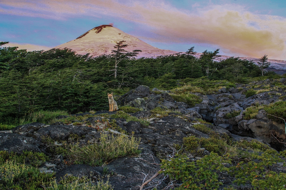 Parque Nacional Villarrica