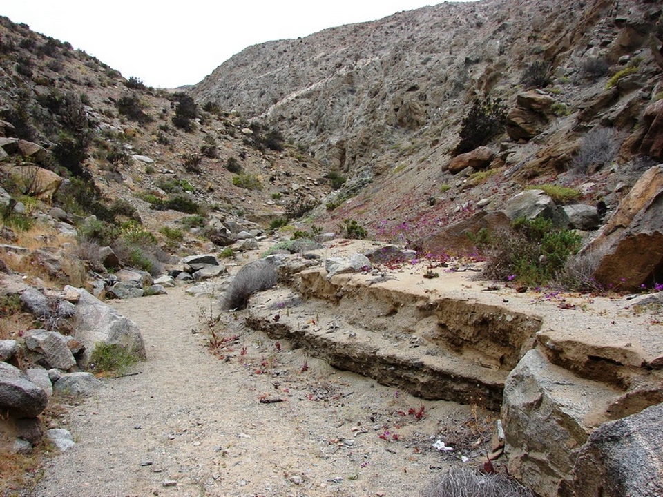 Parque Nacional Llanos De Challe