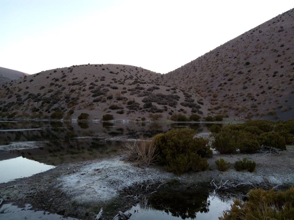 Reserva Natural Los Huascoaltinos