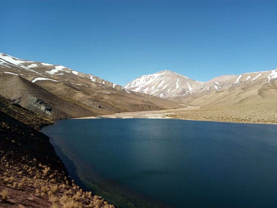 Reserva Natural Los Huascoaltinos