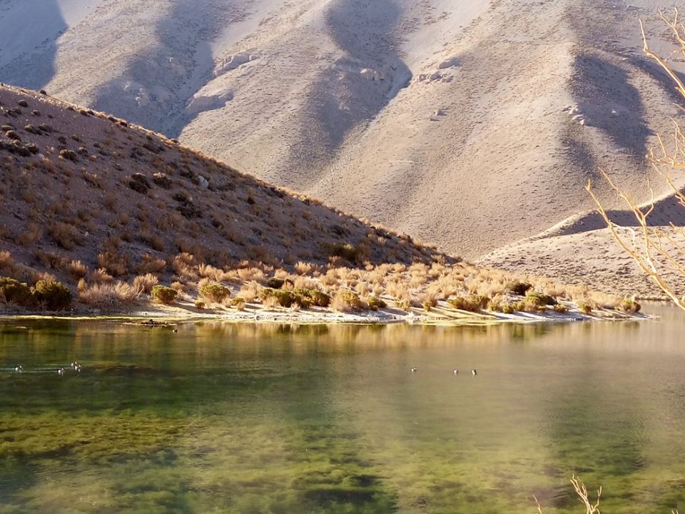 Reserva Natural Los Huascoaltinos