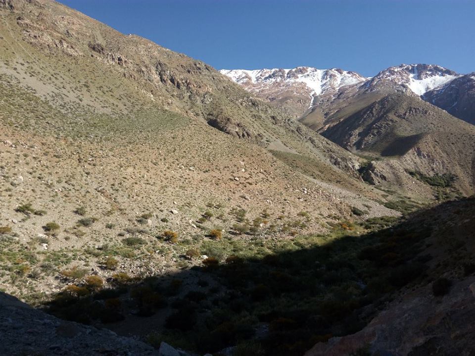 Reserva Natural Los Huascoaltinos