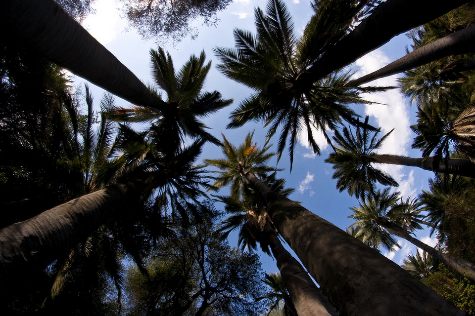 Parque Nacional La Campana