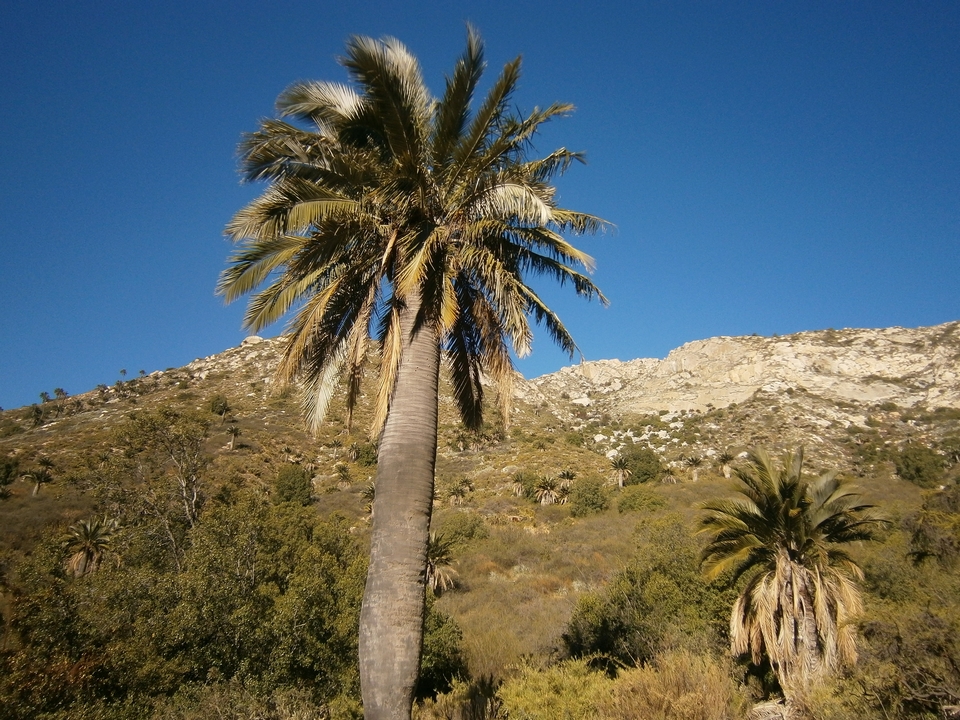 Parque Nacional La Campana