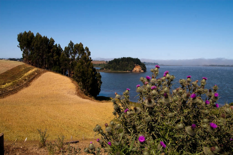 Lago Budi E Isla Llepo