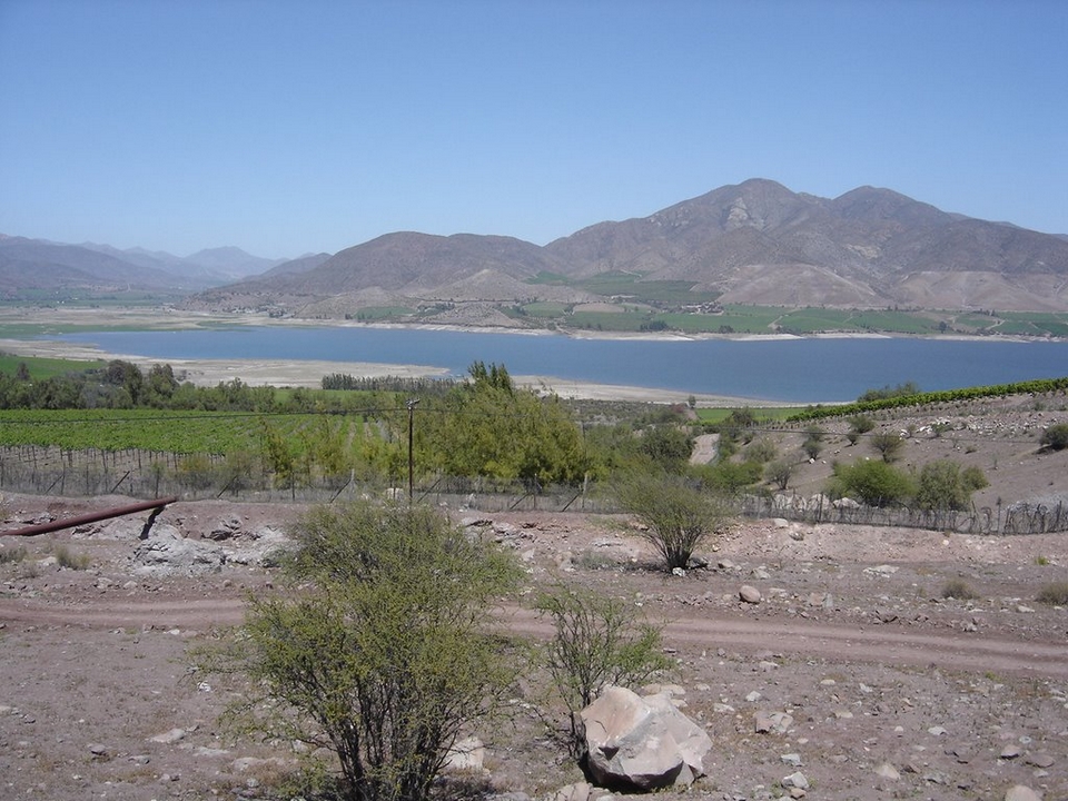 El Palqui
