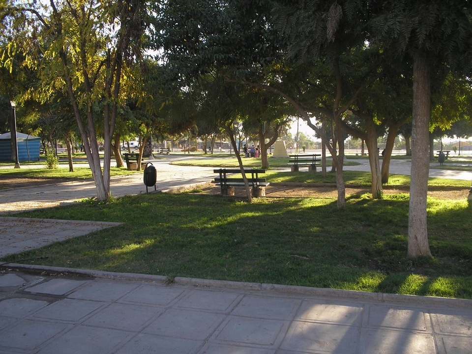 El Palqui