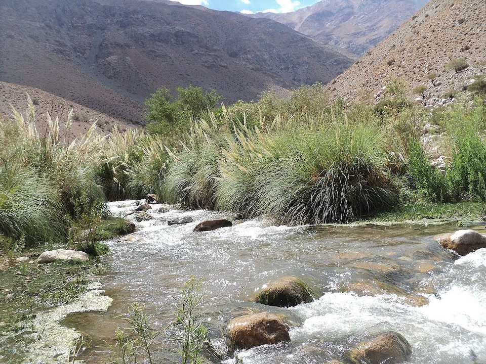 Reserva Natural Los Huascoaltinos
