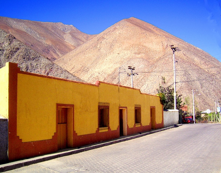 Pisco Elqui