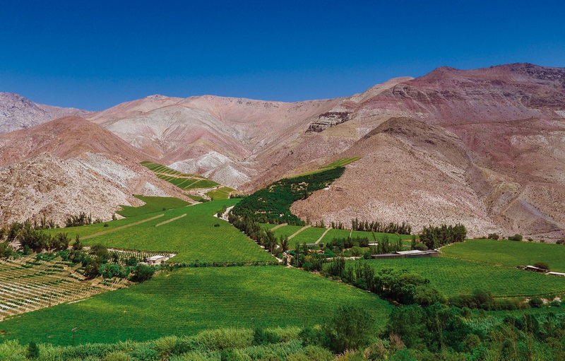 Pisco Elqui