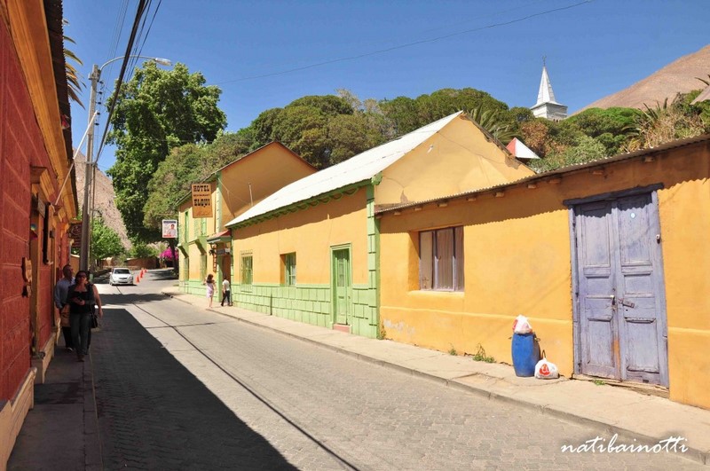 Pisco Elqui