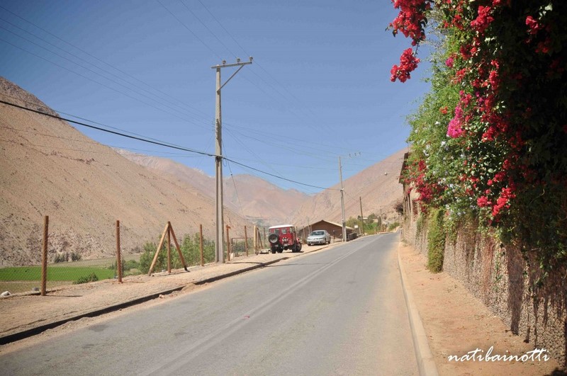 Pisco Elqui