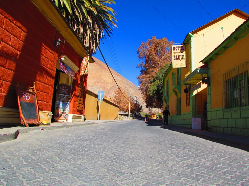 Pisco Elqui