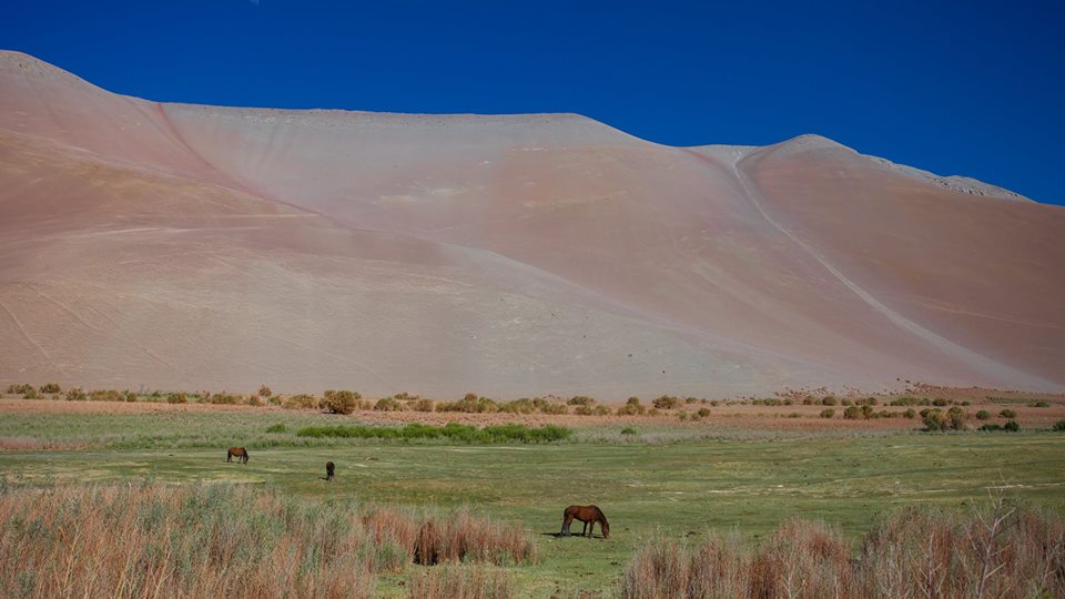 Atacama