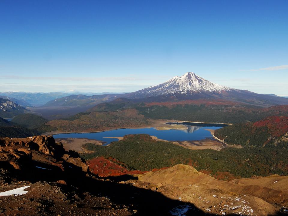 Araucania